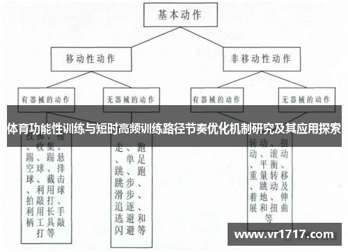 体育功能性训练与短时高频训练路径节奏优化机制研究及其应用探索